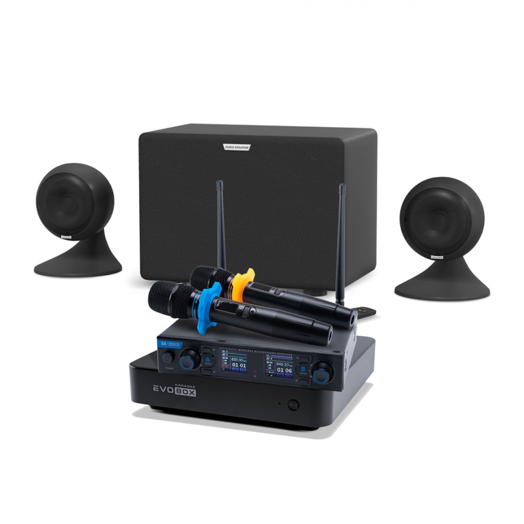 караоке-комплект EVOBOX + EvoSound Sphere 2.1 в Кубинке