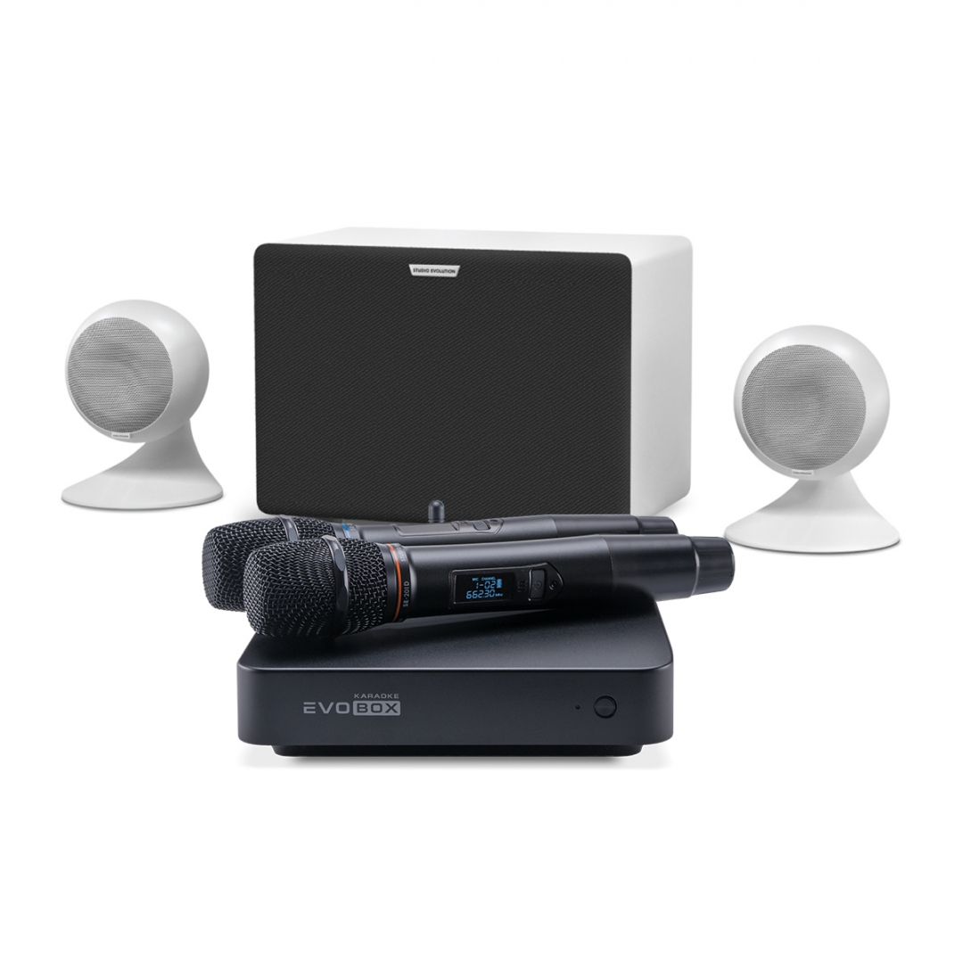 караоке-комплект EVOBOX Classic + EvoSound Sphere 2.1 в Кубинке