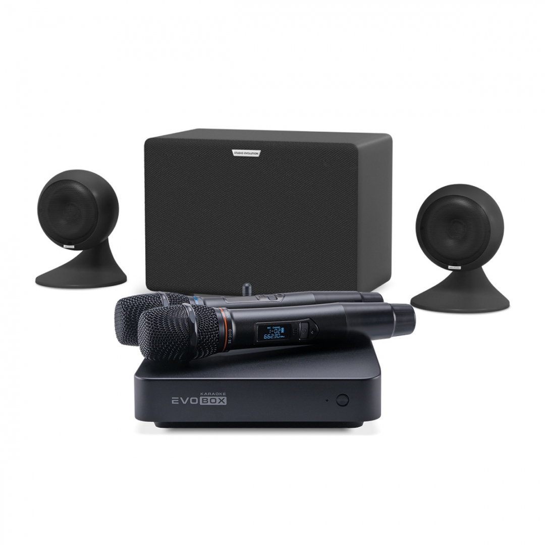 караоке-комплект EVOBOX Plus + EvoSound Sphere 2.1 в Кубинке