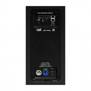 Активная акустическая система AST-310A в Кубинке