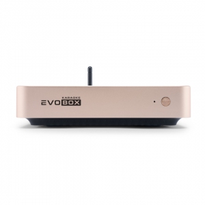 EVOBOX Plus караоке-система для дома в Кубинке
