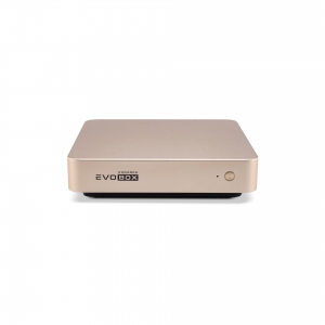 EVOBOX с микрофонами в Кубинке
